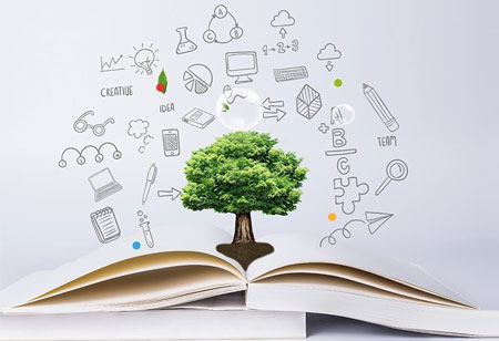 Nourishing Innovation: Investment in EdTech